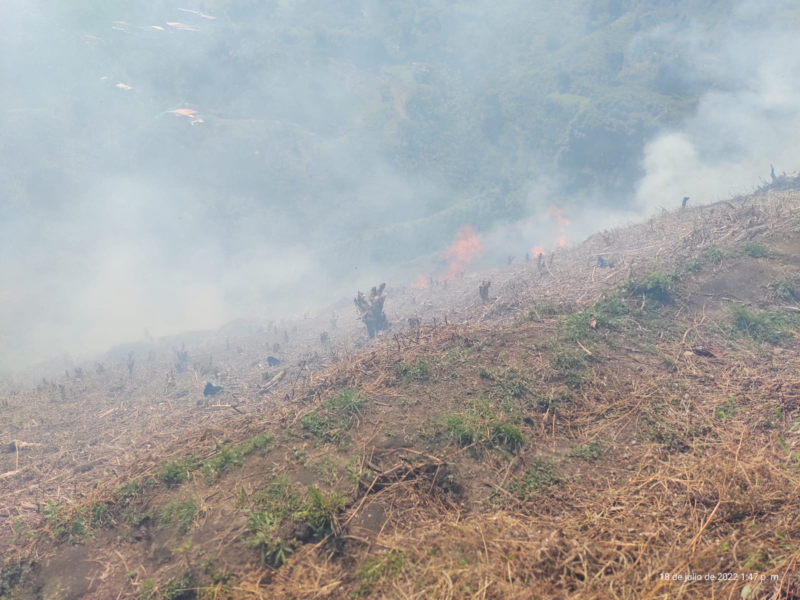 La CARDER evita propagación de un incendio descontrolado en Apía