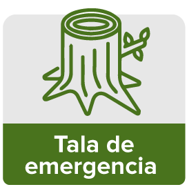 Boton Tala de Emergencia