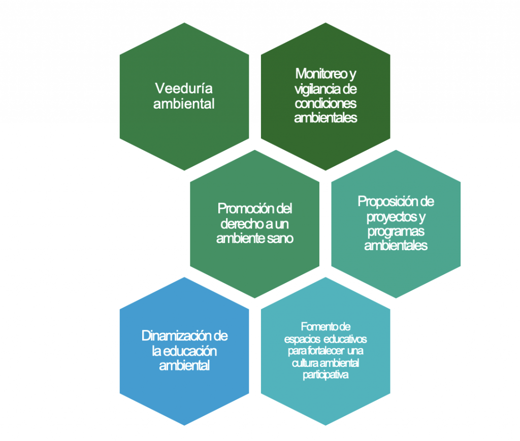 •	Funciones de un vigía ambiental: Veeduría ambiental, Monitoreo y vigilancia de condiciones ambientales, Promoción del derecho a un ambiente sano, Proposición de proyectos y programas ambientales, Dinamización de la educación ambiental, Fomento de espacios  educativos para fortalecer  una cultura ambiental participativa