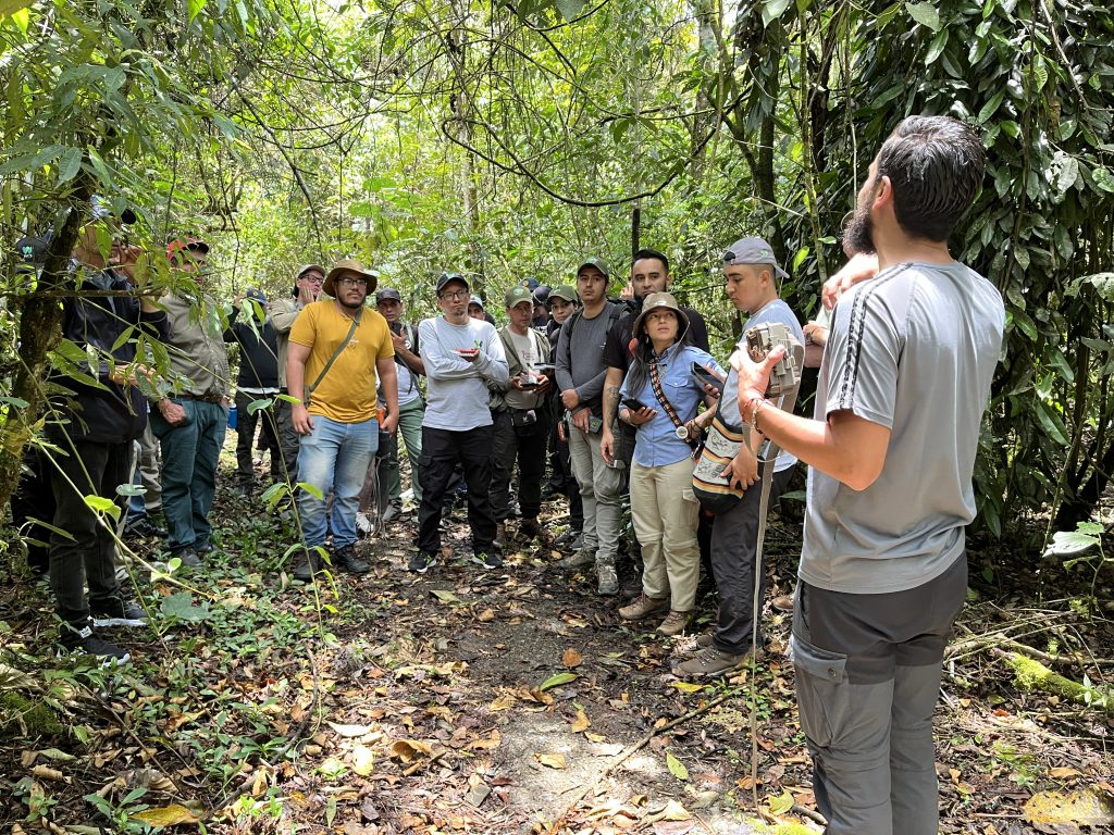 Monitoreo de Puma y Oso Andino en el DRMI Cuchilla del San Juan y el PNN Tatamá: un avance clave para la conservación de grandes mamíferos en Colombia