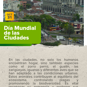 Día Mundial de las Ciudades.