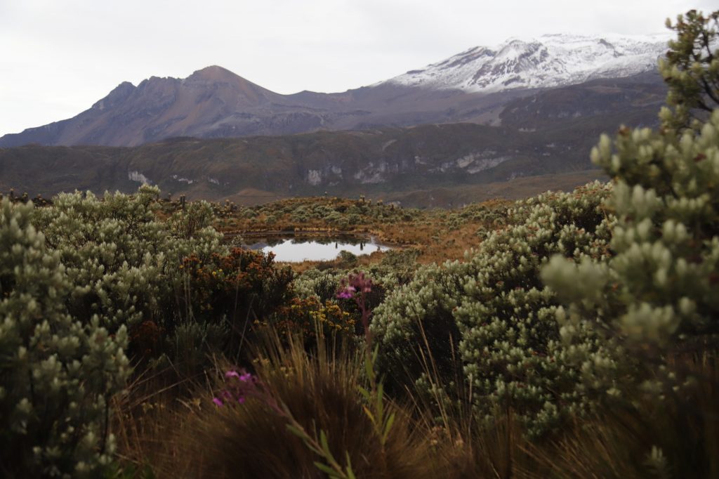 Autoridades ambientales y consejera presidencial refuerzan compromisos para la protección del Parque Nacional Natural Los Nevados