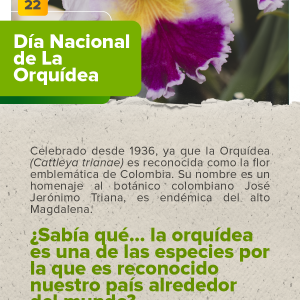 Día Nacional de la Orquídea.