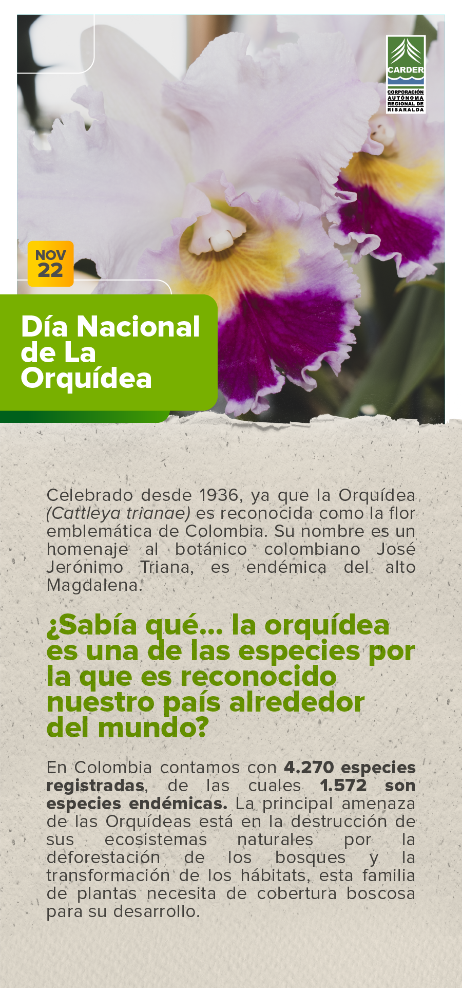 Día Nacional de la Orquídea.