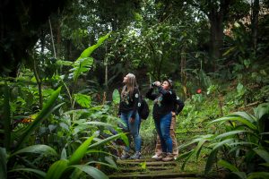 Marsella celebra la 2.ª versión del Festival de Aves, un encuentro de educación, cultura y conciencia ambiental