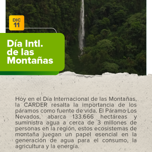 Día Internacional de las Montañas.