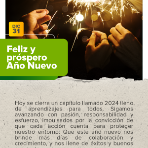 Feliz año nuevo