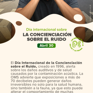 Día Internacional de Concienciación sobre el Ruido.